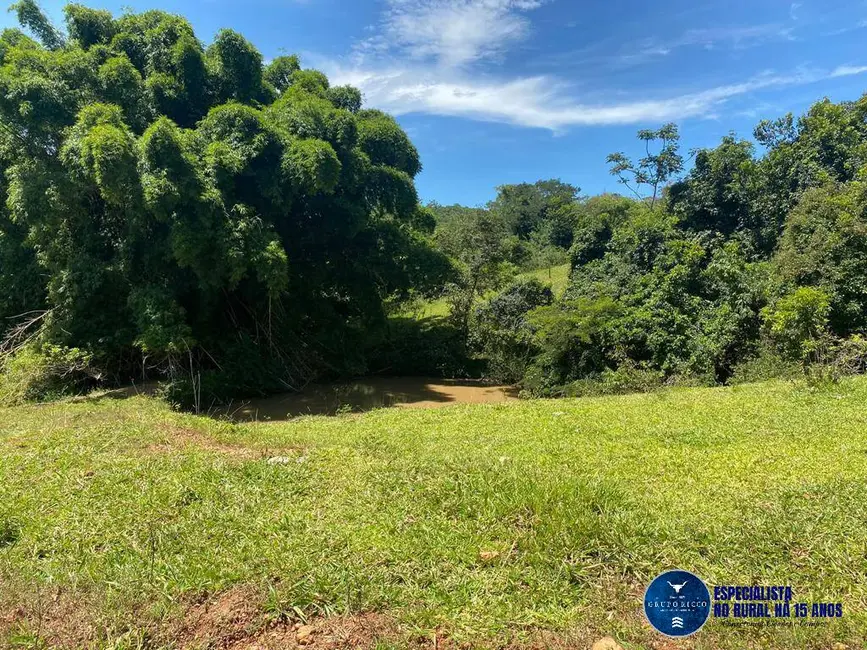 Foto 4 de Chácara à venda, 10m2 em Pontalina - GO