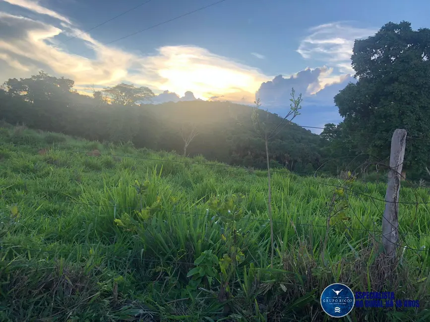 Foto 5 de Chácara à venda, 11m2 em Jaragua - GO