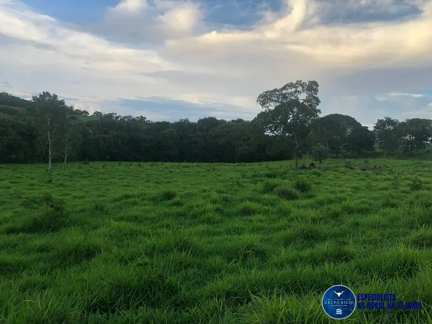 Foto 4 de Chácara à venda, 11m2 em Jaragua - GO