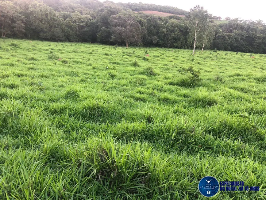 Foto 1 de Chácara à venda, 11m2 em Jaragua - GO