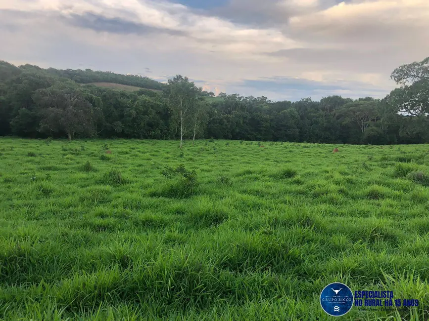 Foto 8 de Chácara à venda, 11m2 em Jaragua - GO