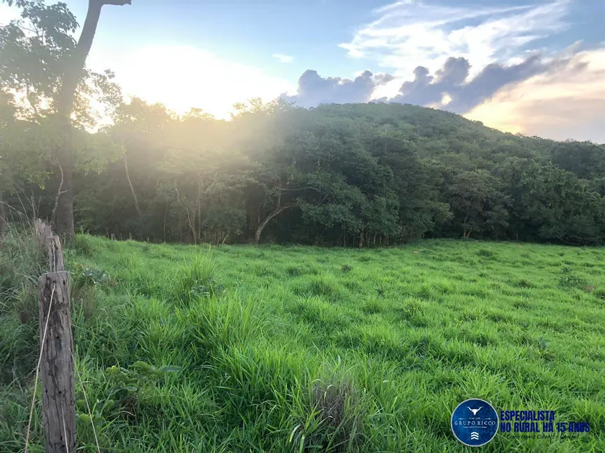Foto 7 de Chácara à venda, 11m2 em Jaragua - GO