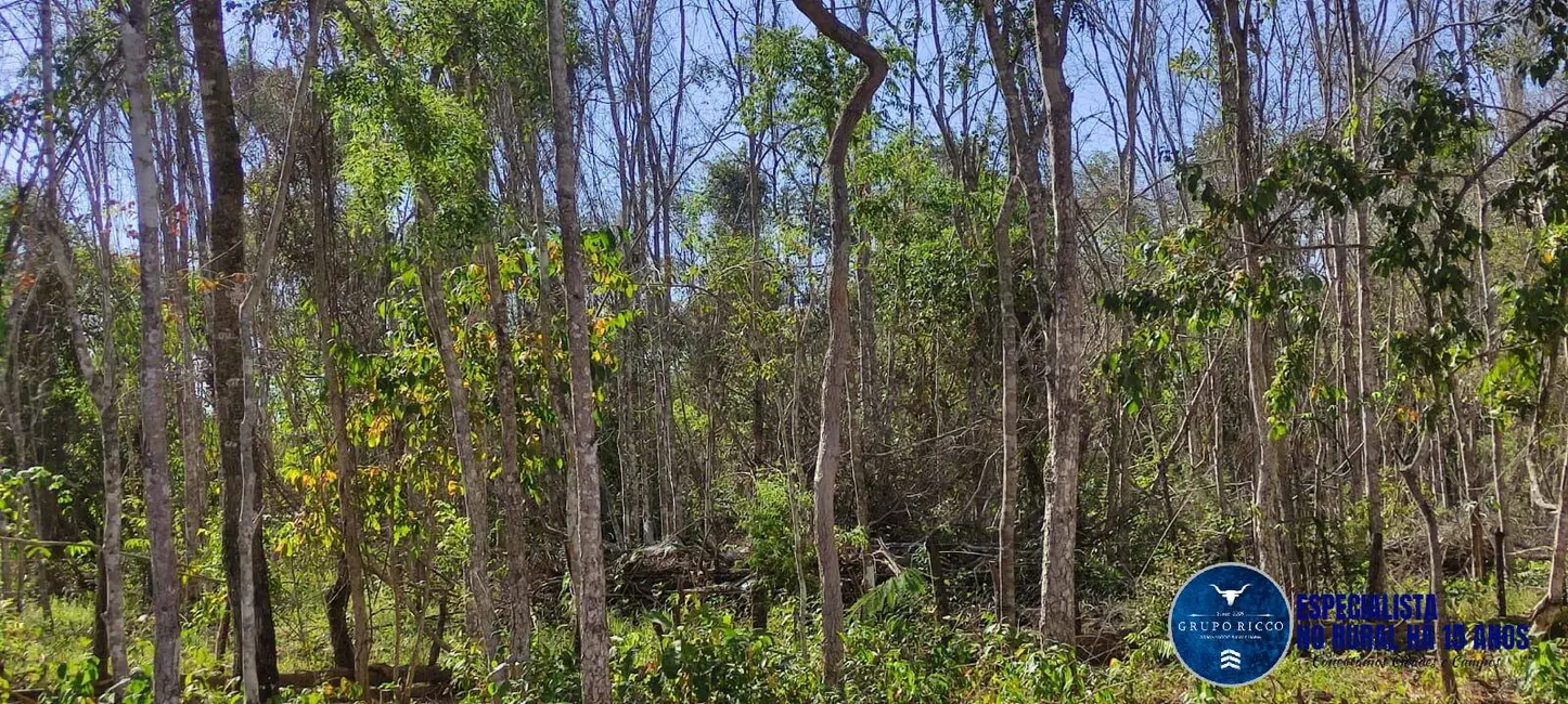 Foto 9 de Fazenda / Haras à venda, 31m2 em Mairipotaba - GO