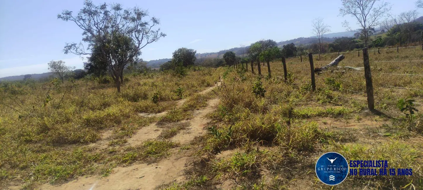 Foto 1 de Fazenda / Haras à venda, 31m2 em Mairipotaba - GO