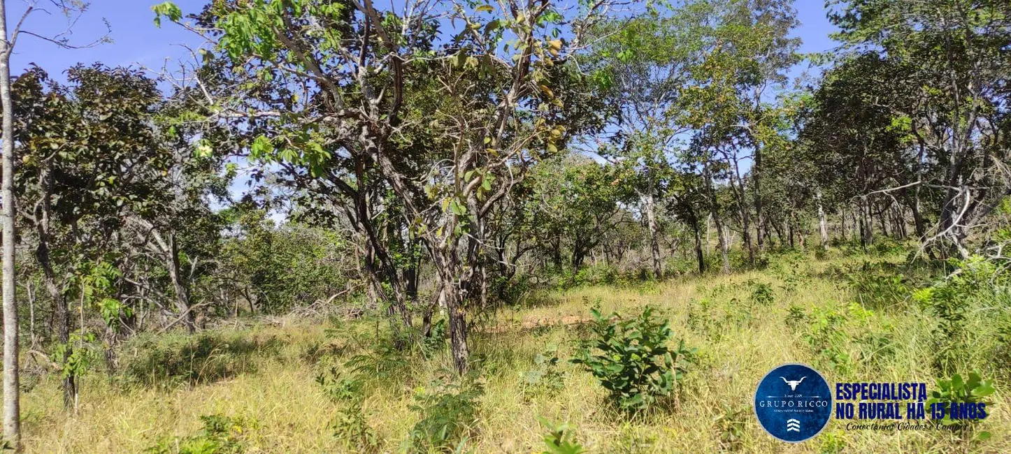 Foto 4 de Fazenda / Haras à venda, 31m2 em Mairipotaba - GO