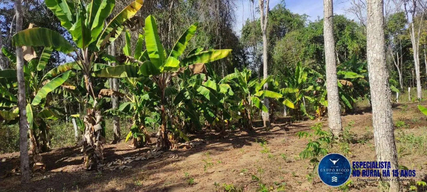 Foto 5 de Fazenda / Haras à venda, 31m2 em Mairipotaba - GO
