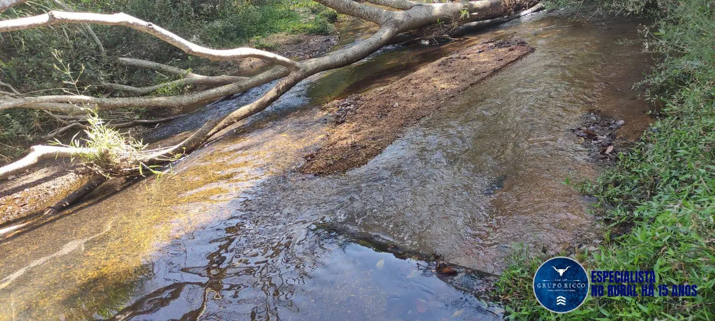 Foto 8 de Fazenda / Haras à venda, 31m2 em Mairipotaba - GO