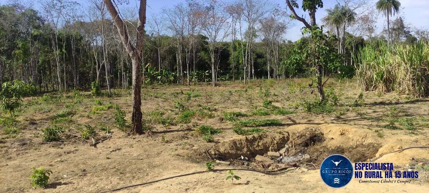 Foto 2 de Fazenda / Haras à venda, 31m2 em Mairipotaba - GO