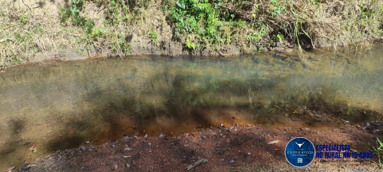Foto 7 de Fazenda / Haras à venda, 31m2 em Mairipotaba - GO