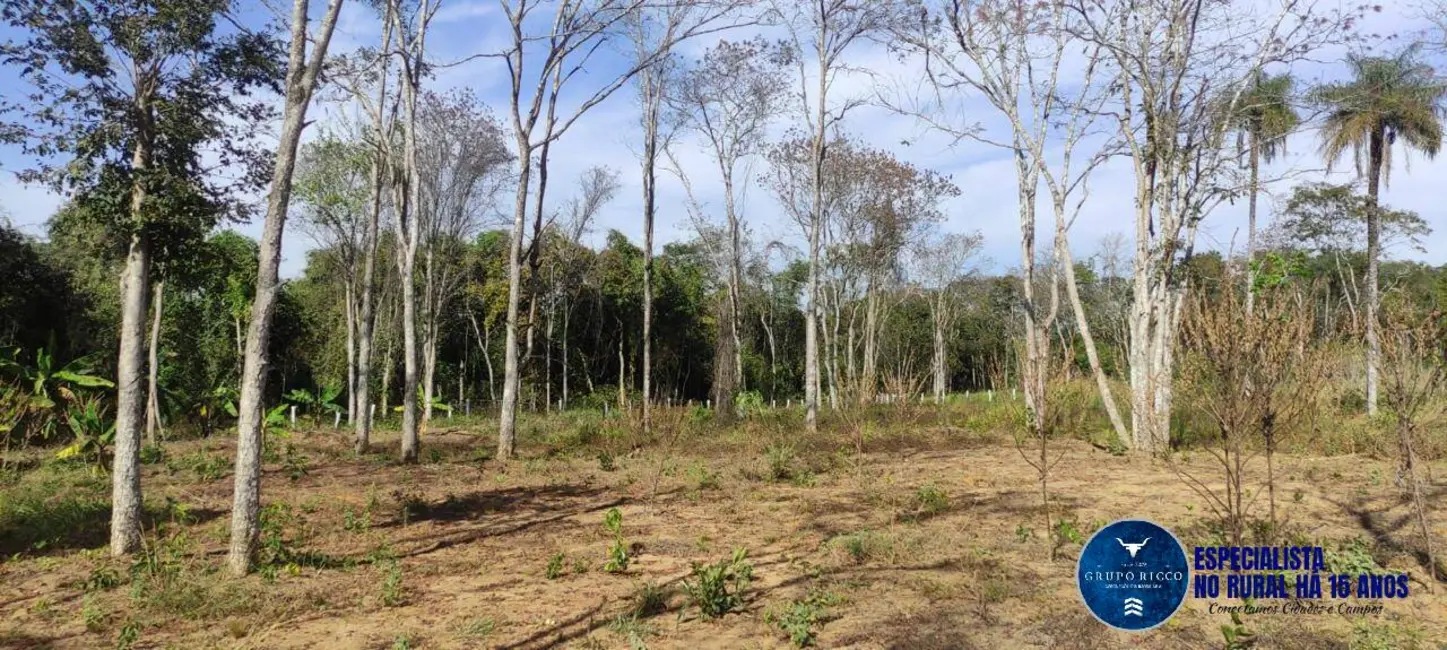 Foto 3 de Fazenda / Haras à venda, 31m2 em Mairipotaba - GO