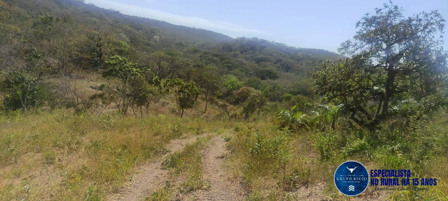 Foto 6 de Fazenda / Haras à venda, 31m2 em Mairipotaba - GO