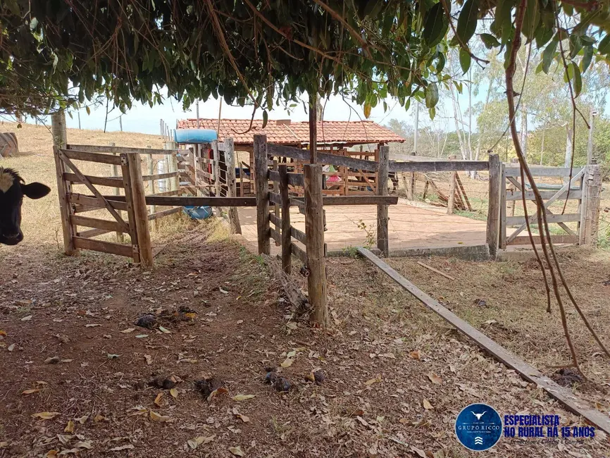 Foto 9 de Chácara à venda em Inhumas - GO