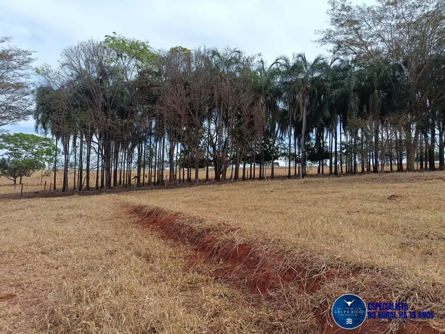 Foto 7 de Chácara à venda em Inhumas - GO
