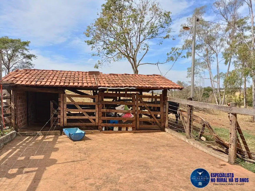 Foto 11 de Chácara à venda em Inhumas - GO