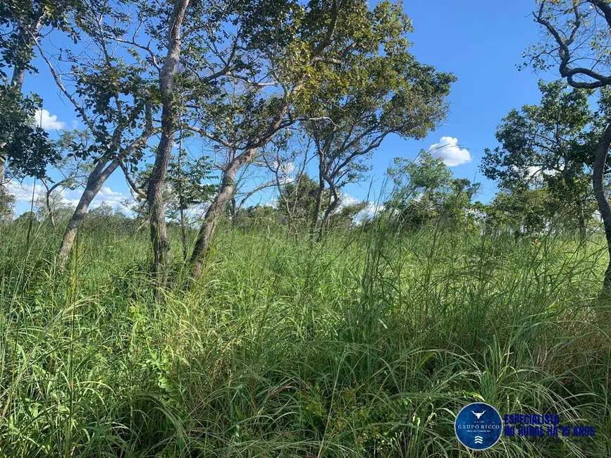 Foto 5 de Fazenda / Haras à venda, 1041m2 em Recursolandia - TO