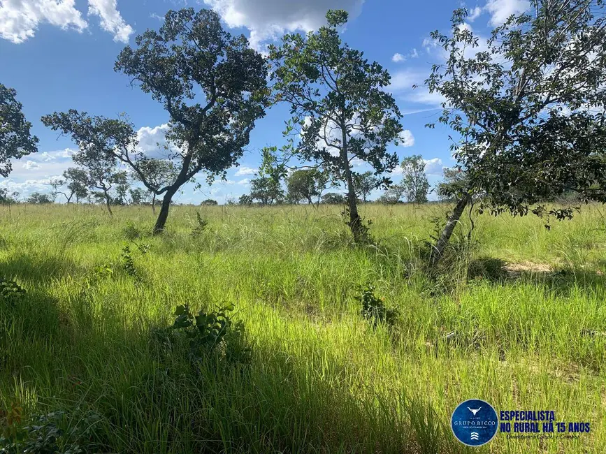 Foto 8 de Fazenda / Haras à venda, 1041m2 em Recursolandia - TO