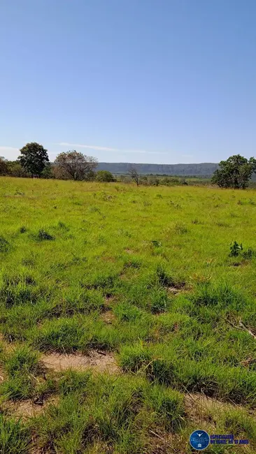Foto 5 de Fazenda / Haras à venda, 1043m2 em Peixe - TO