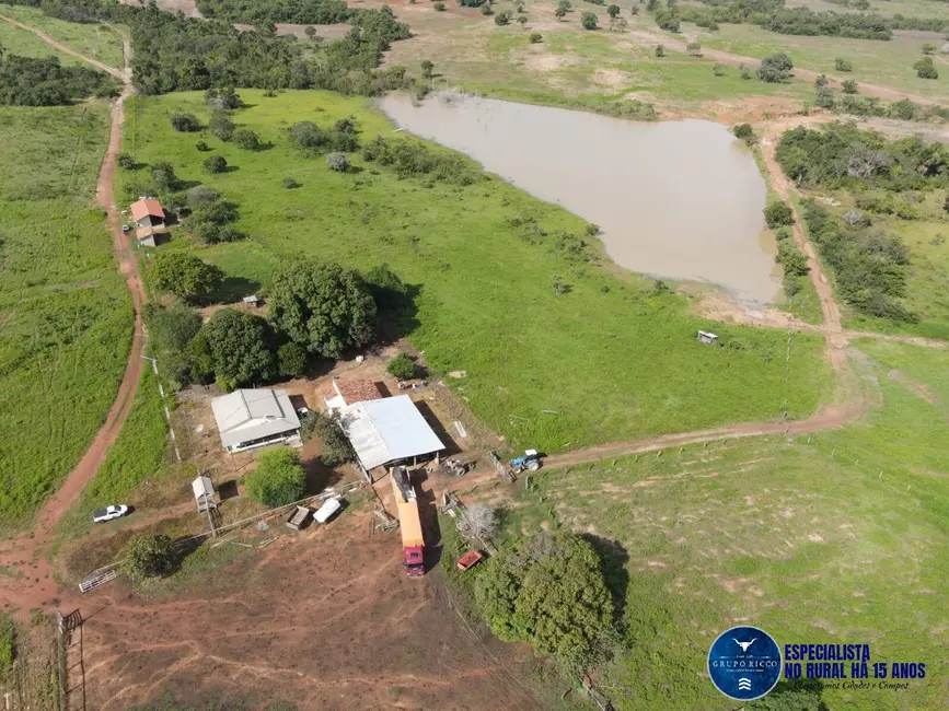Foto 1 de Fazenda / Haras à venda, 1043m2 em Peixe - TO