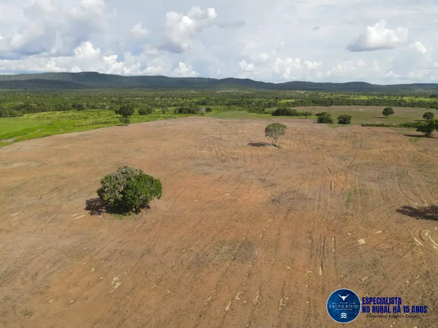 Foto 8 de Fazenda / Haras à venda, 1043m2 em Peixe - TO