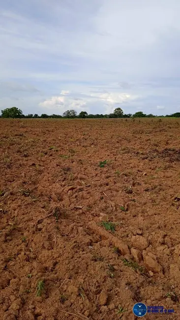Foto 6 de Fazenda / Haras à venda, 1043m2 em Peixe - TO