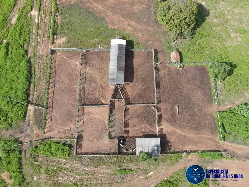 Foto 3 de Fazenda / Haras à venda, 1043m2 em Peixe - TO