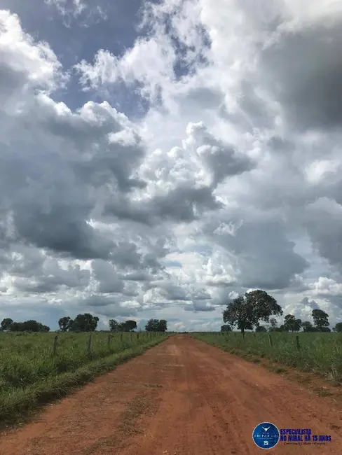 Foto 5 de Fazenda / Haras à venda, 988m2 em Peixe - TO