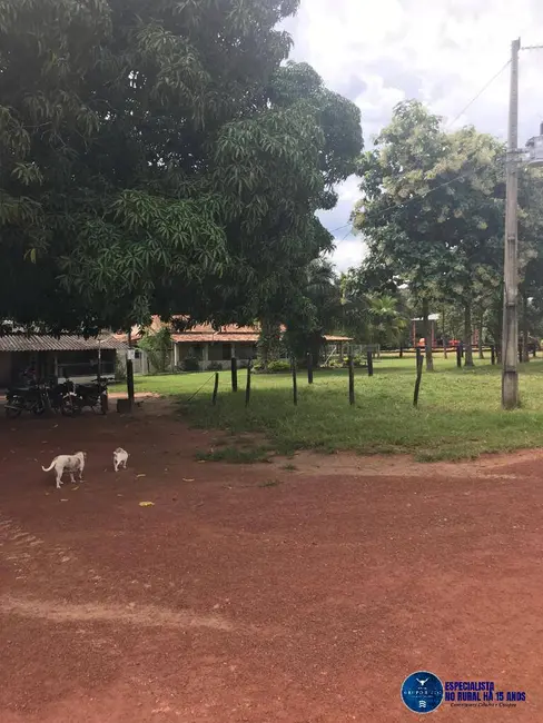 Foto 3 de Fazenda / Haras à venda, 988m2 em Peixe - TO