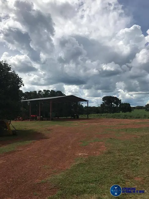 Foto 9 de Fazenda / Haras à venda, 988m2 em Peixe - TO