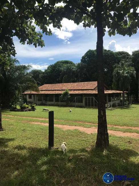 Foto 2 de Fazenda / Haras à venda, 988m2 em Peixe - TO