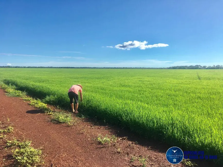 Foto 2 de Fazenda / Haras à venda, 1500m2 em Lagoa Da Confusao - TO