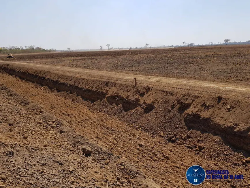 Foto 5 de Fazenda / Haras à venda, 1500m2 em Lagoa Da Confusao - TO