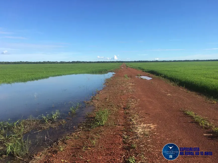 Foto 1 de Fazenda / Haras à venda, 1500m2 em Lagoa Da Confusao - TO