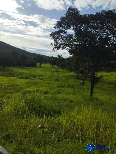Foto 2 de Fazenda / Haras à venda, 253m2 em Gurupi - TO