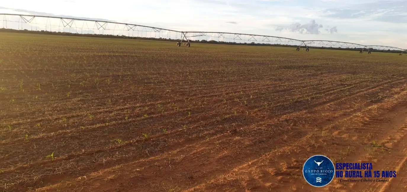 Foto 4 de Fazenda / Haras à venda, 500m2 em Peixe - TO