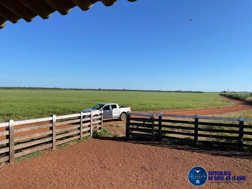 Foto 2 de Fazenda / Haras à venda, 500m2 em Peixe - TO
