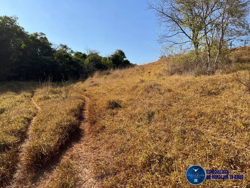 Foto 7 de Chácara à venda em Taquaral De Goias - GO