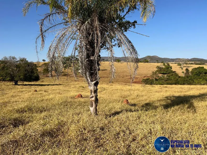 Foto 1 de Chácara à venda em Taquaral De Goias - GO