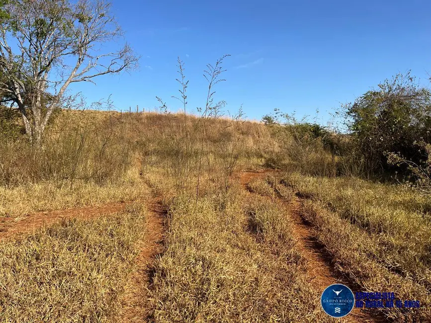 Foto 3 de Chácara à venda em Taquaral De Goias - GO