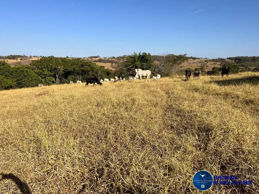 Foto 8 de Chácara à venda em Taquaral De Goias - GO