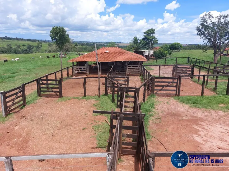 Foto 2 de Fazenda / Haras à venda, 42m2 em Jatai - GO