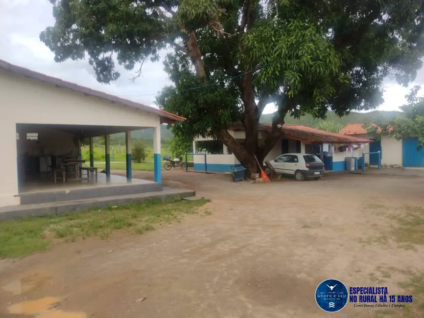 Foto 4 de Fazenda / Haras com 4 quartos à venda, 660m2 em Minacu - GO