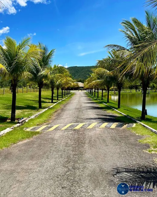 Foto 2 de Fazenda / Haras com 4 quartos à venda, 660m2 em Minacu - GO
