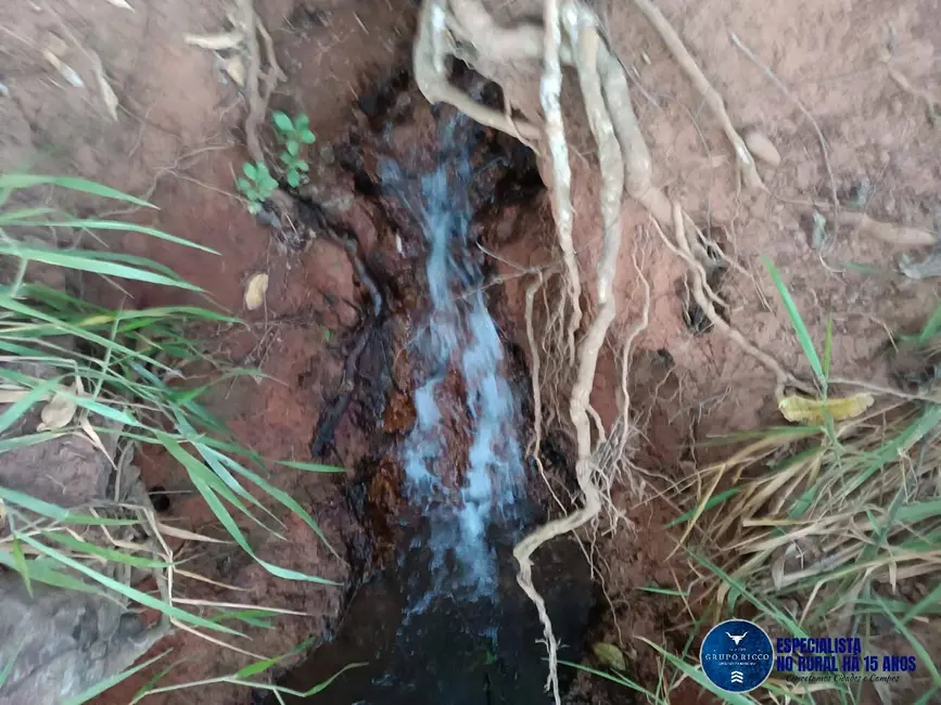Foto 2 de Sítio / Rancho à venda, 20m2 em Itaguaru - GO