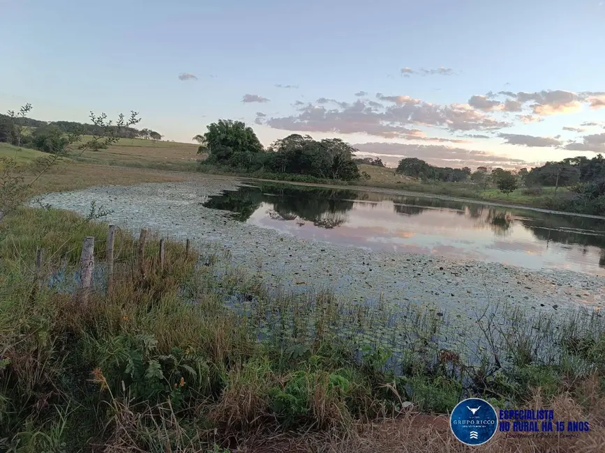 Foto 4 de Sítio / Rancho com 2 quartos à venda, 20m2 em Itaguaru - GO