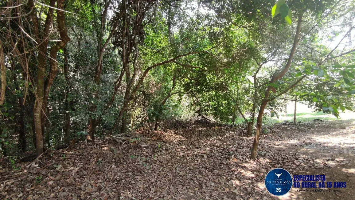 Foto 11 de Chácara à venda, 2000m2 em Hidrolandia - GO