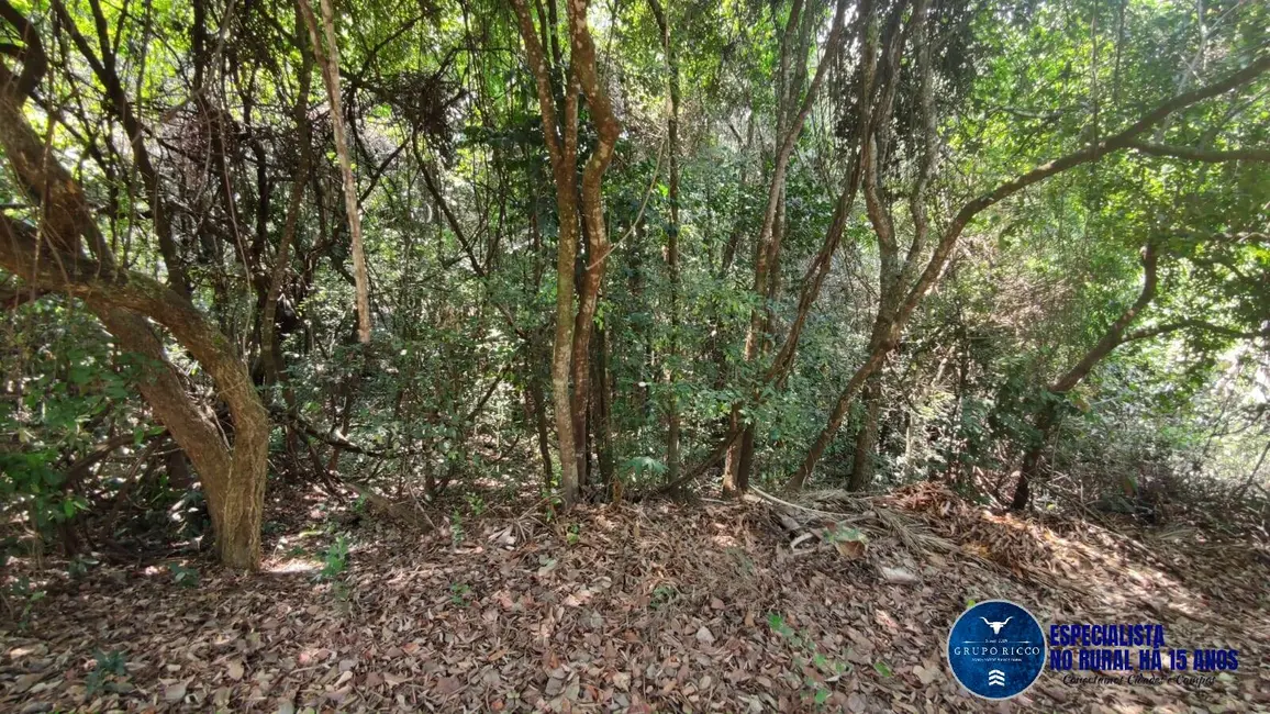 Foto 7 de Chácara à venda, 2000m2 em Hidrolandia - GO