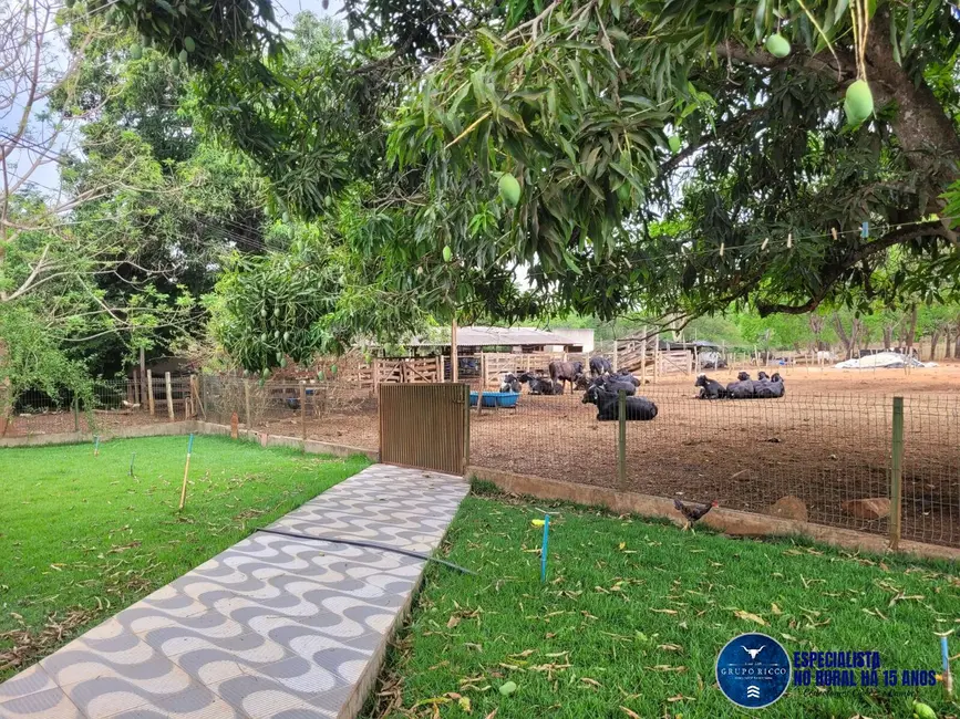 Foto 4 de Chácara com 4 quartos à venda em Petrolina De Goias - GO