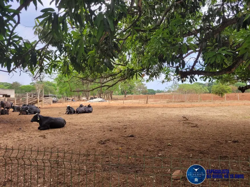 Foto 6 de Chácara com 4 quartos à venda em Petrolina De Goias - GO