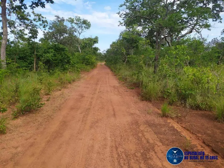 Foto 7 de Fazenda / Haras à venda, 740m2 em Parana - TO