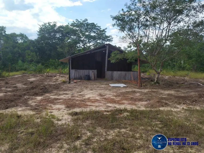 Foto 5 de Fazenda / Haras à venda, 740m2 em Parana - TO